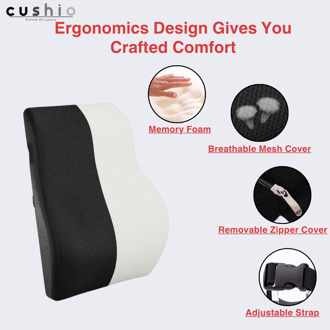 CUSHIO Lumbar Back Support Pillow for Car Seat, Office and Home Chair | Memory Foam Backrest Pillow for Lower Back Pain Relieve | Dual Adjustable Strap (Black)