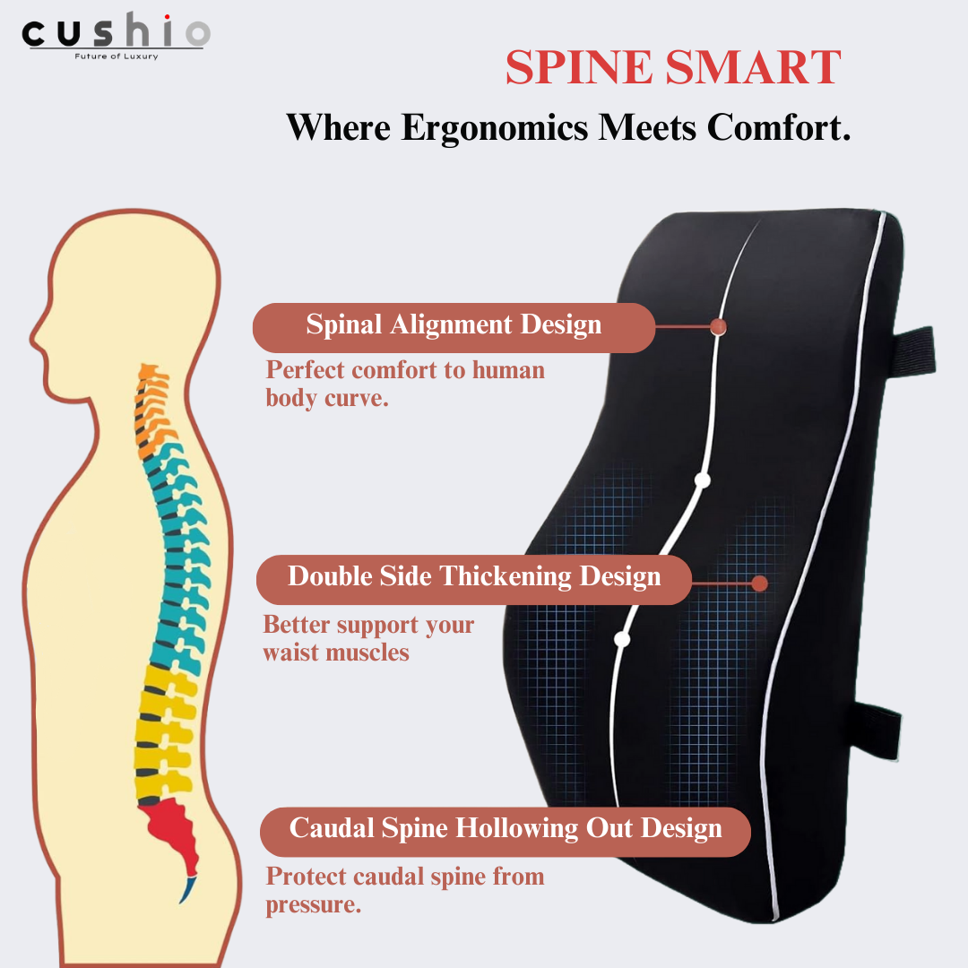 CUSHIO Lumbar Back Support Pillow for Car Seat, Office and Home Chair | Memory Foam Backrest Pillow for Lower Back Pain Relieve | Dual Adjustable Strap (Black)